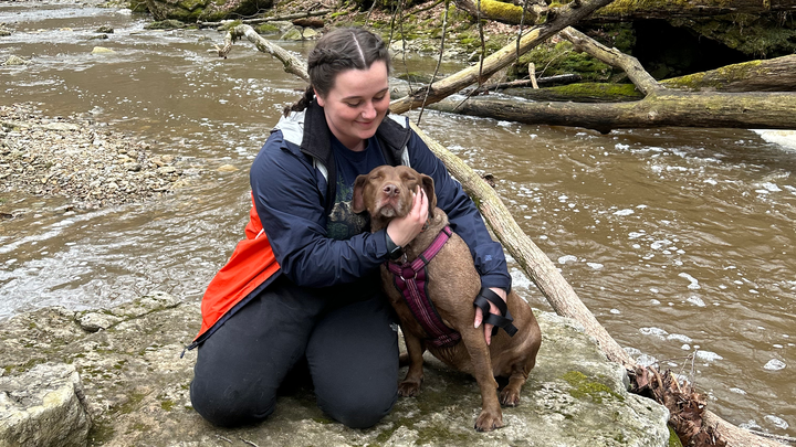 Dacey’s TPLO Surgery campaign photo, 1 of 7