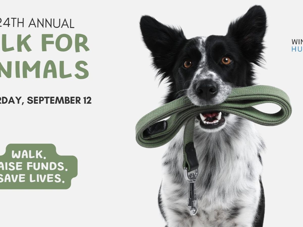 Fundraiser’s main image