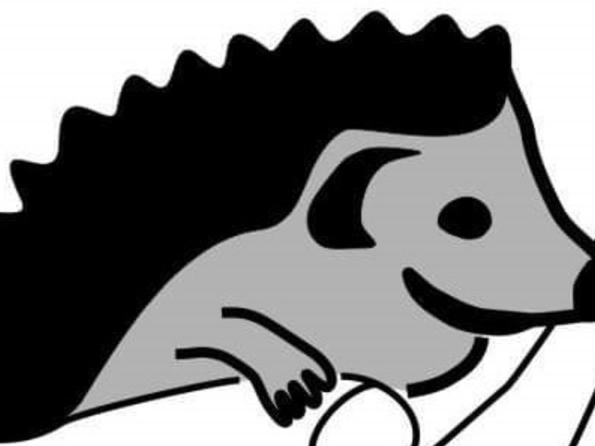 Fundraiser’s main image