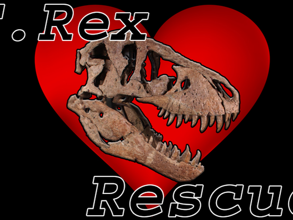 Fundraiser’s main image
