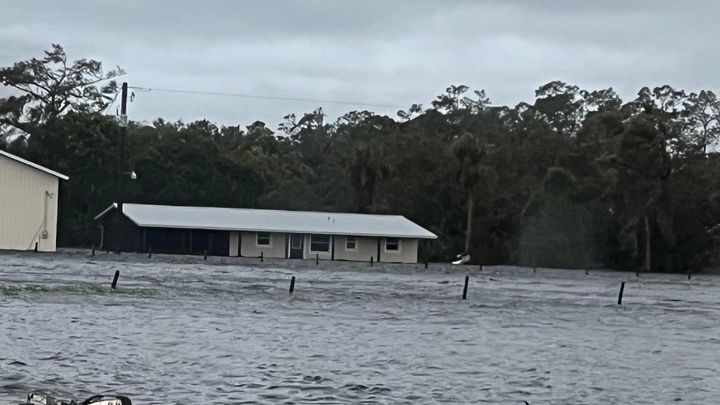 Foto principal de la recaudación de fondos