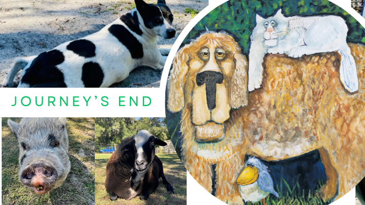 Help Journey's End Animal Sanctuary Find a New Home campaign photo, 1 of 3