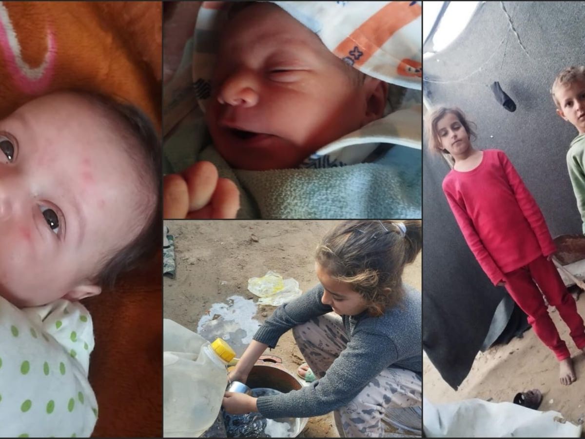 Help Umm al saeed and her family of 7 in gaza campaign photo, 1 of 2