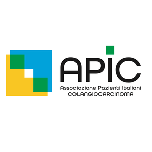 Paolo  Leonardi, APIC