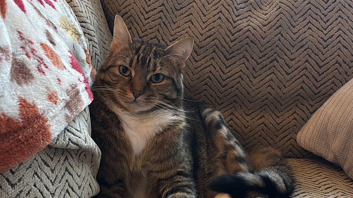 Suki’s Unexpected Second Surgery campaign photo, 1 of 3