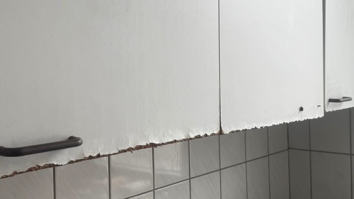 Kampagnen-Foto für Hilf mir, aus meiner neuen Wohnung wieder ein Zuhause zu, 1 von 4