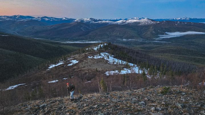 Support Alaska Songbird Institute and Arctic Audubon