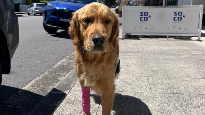 Main fundraiser photo