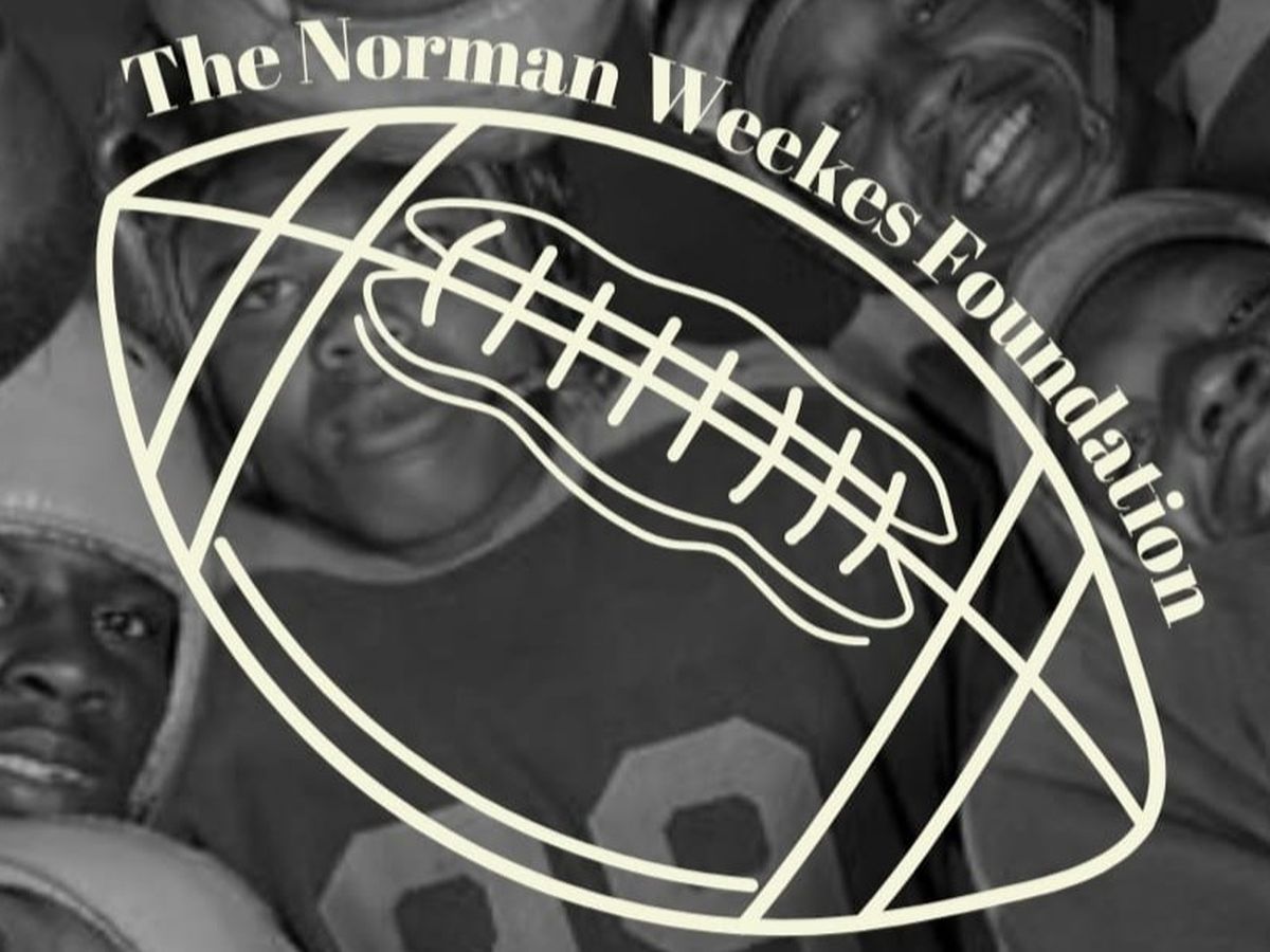 Fundraiser’s main image