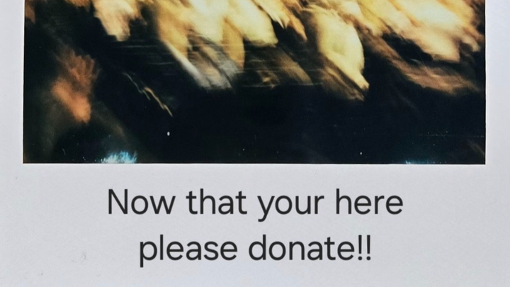Main fundraiser photo