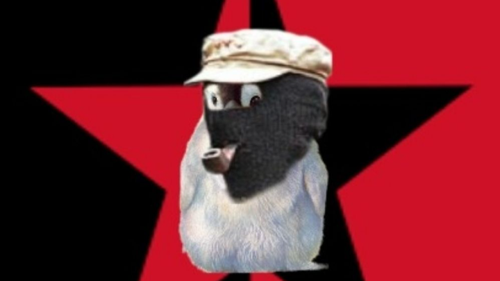 Kampagnen-Foto für Shitposterin in Not, 1 von 4