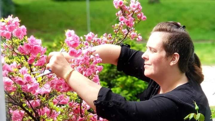 Hauptbild des Spendenaufrufs