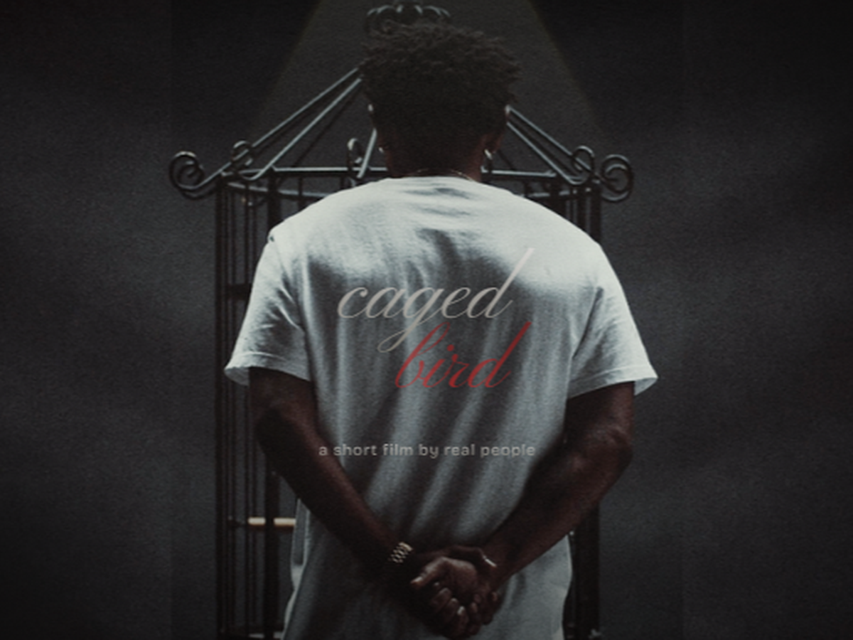 Support "caged bird" A Short Film for Everyday People campaign photo, 1 of 7