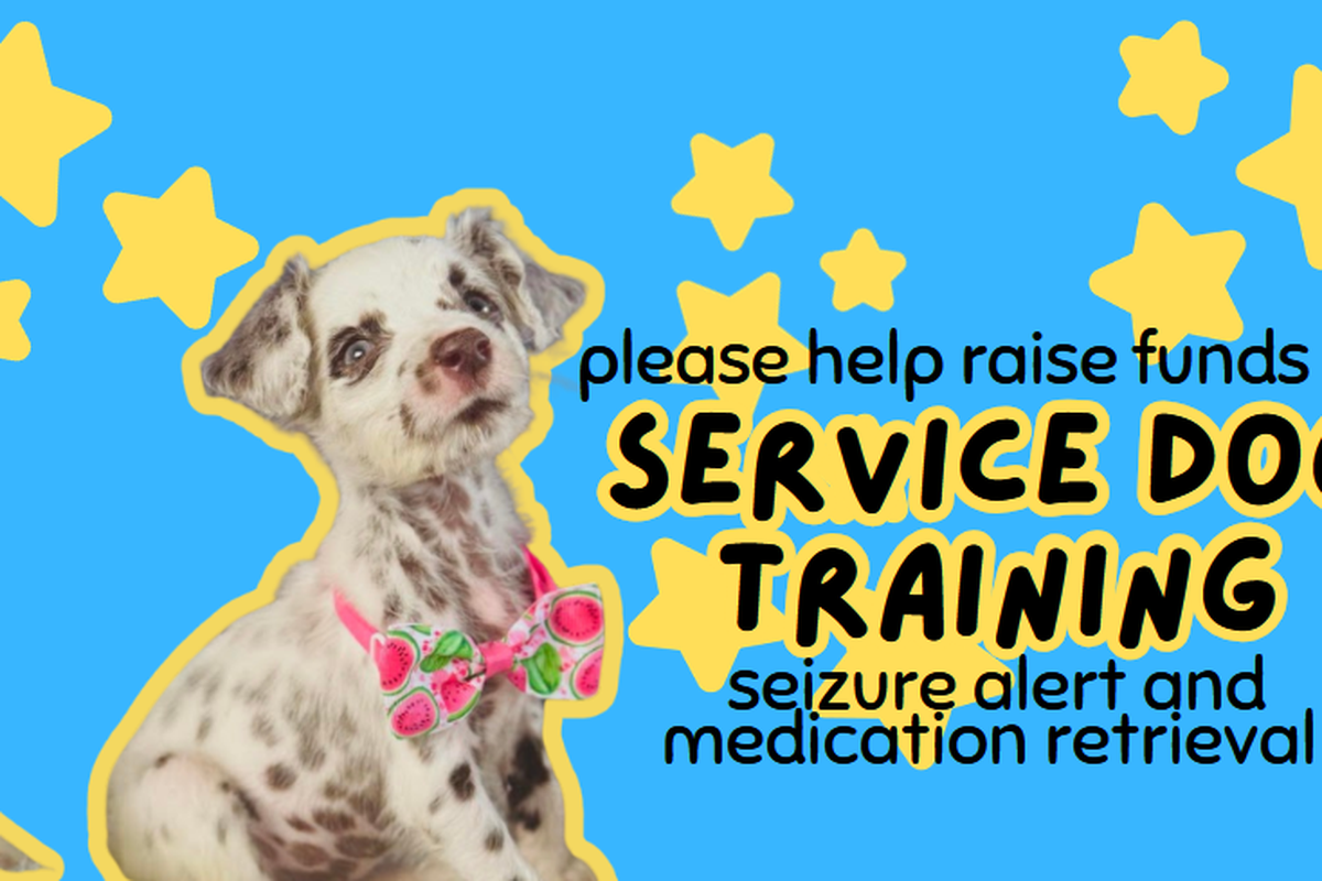 Training Dog for Seizure Alert: Life-Saving Skills