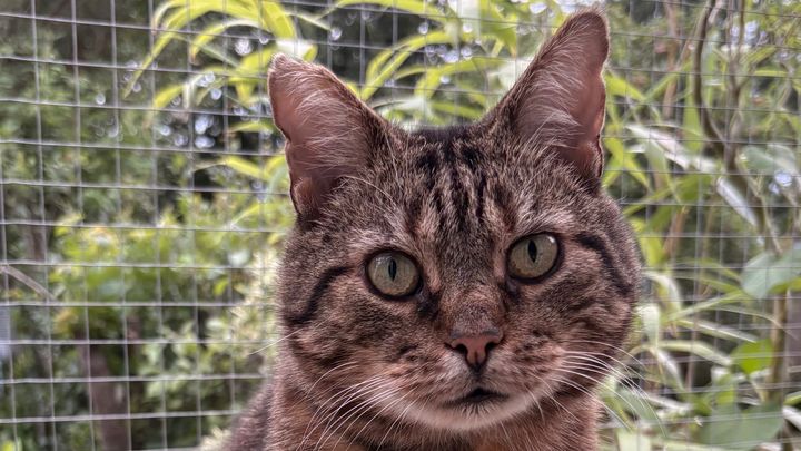Larry is only four and needs a pacemaker campaign photo, 1 of 8