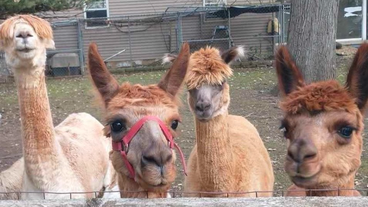 Hoofdafbeelding inzamelingsactie