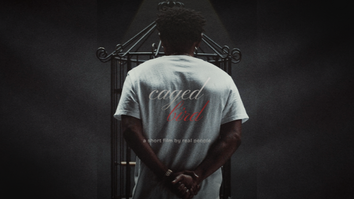 Support "caged bird" A Short Film for Everyday People campaign photo, 1 of 7