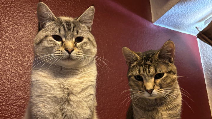 Help Our Family Stay in our Home campaign photo, 1 of 3