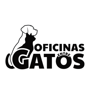 Oficinas entre Gatos