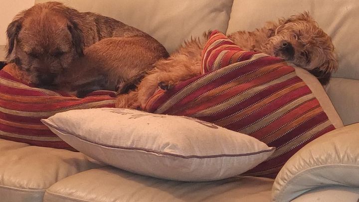 Main fundraiser photo