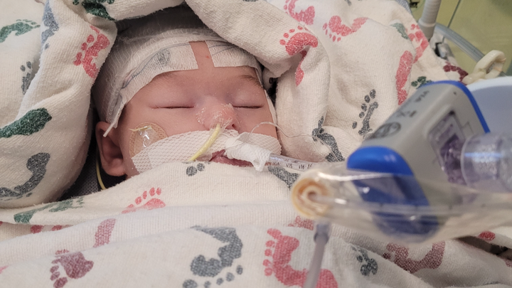 Support Baby Kenzie and the Green Family campaign photo, 1 of 6