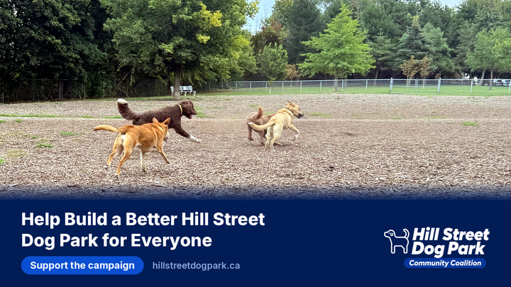 Help Build a Better Hill Street Dog Park for Everyone campaign photo, 1 of 6