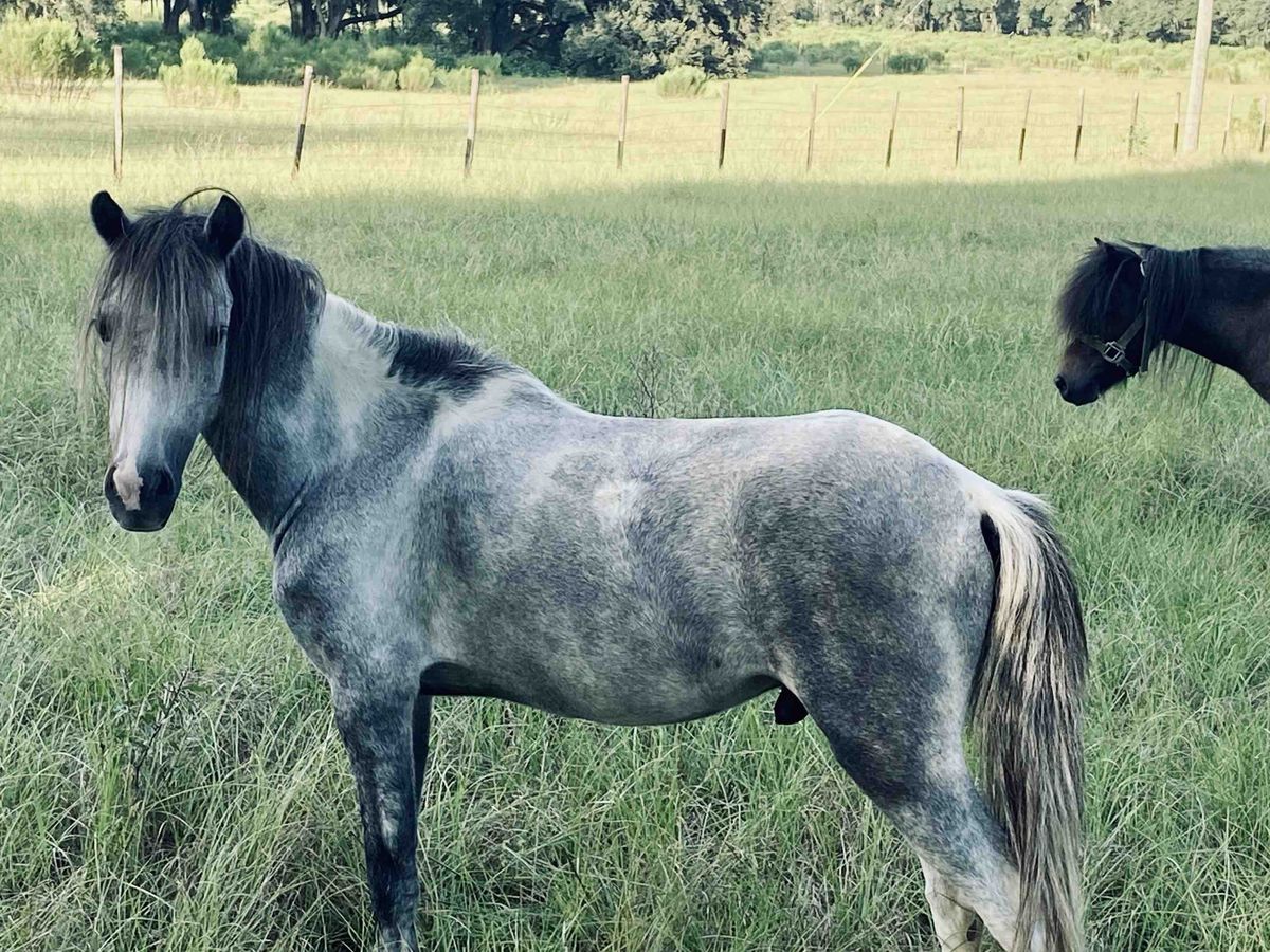 Fundraiser by Brandon Neal Started a animal sanctuary in archer