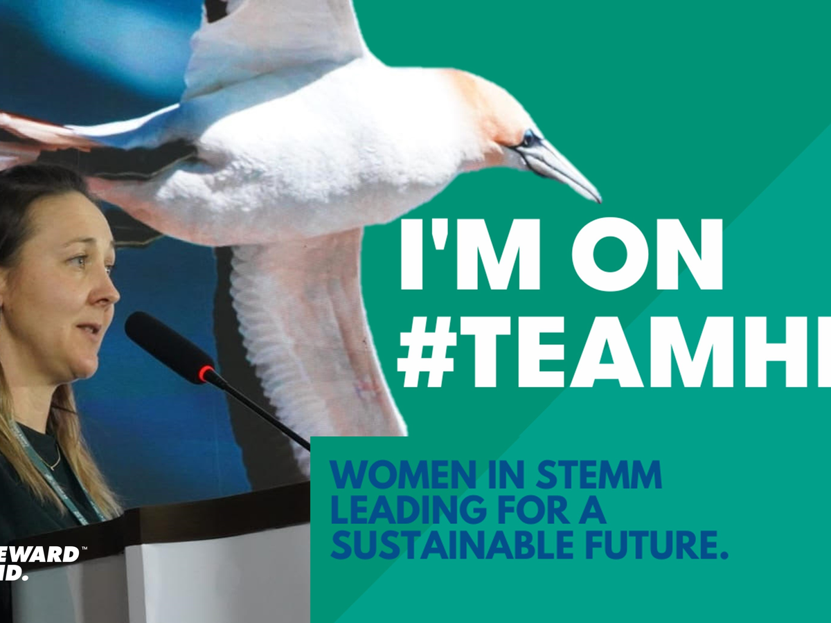 The Transformative Power of Tammy Now: A Comprehensive Overview