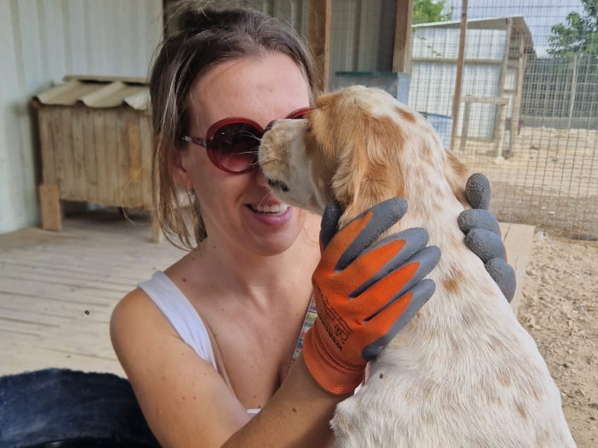 Help strayed dogs and cats in Europe to survive campaign photo, 1 of 5
