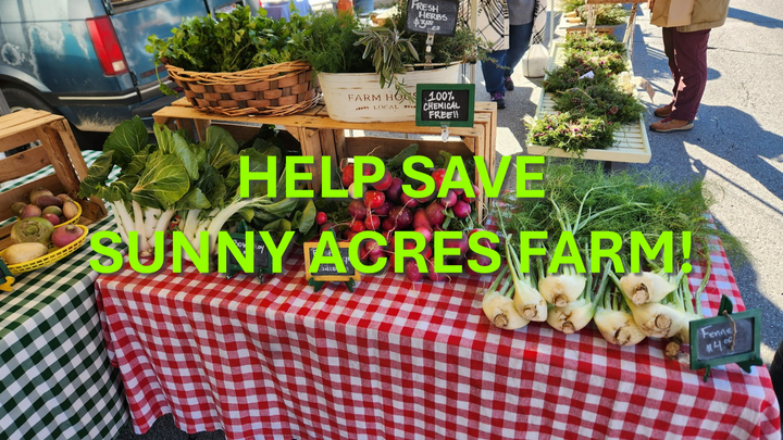 Main fundraiser photo