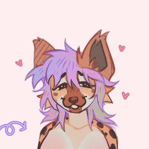 GoFundMe profile picture for @gin