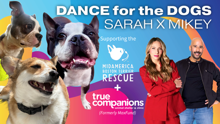 Dance for the Dogs with Sarah and Mikey campaign photo, 1 of 3