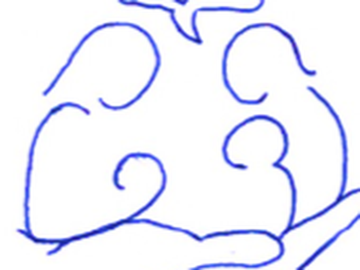Fundraiser’s main image