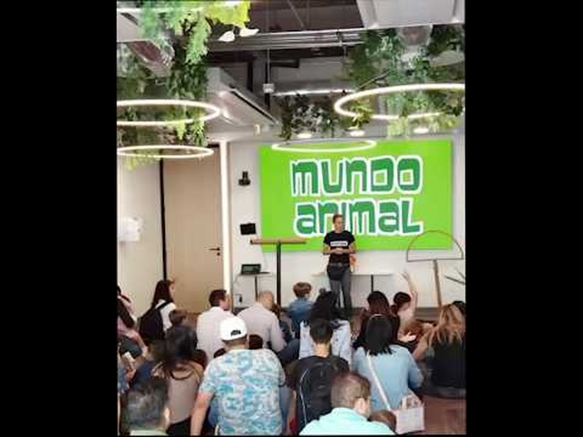 Imagen principal de la recaudación de fondos