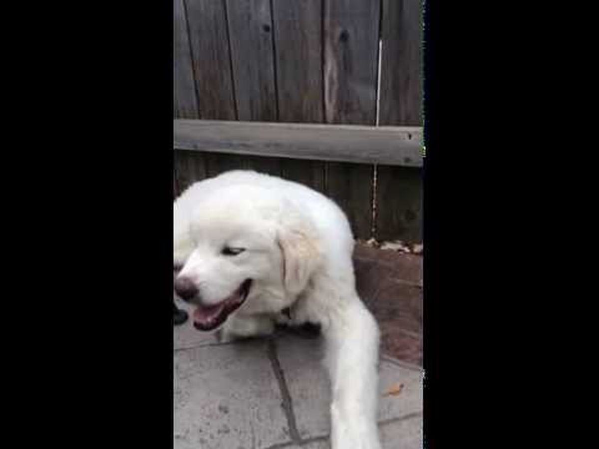 Fundraiser’s main image