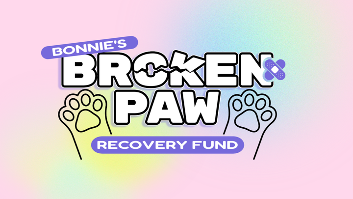 Support Bonnie's Recovery and Care campaign photo, 1 of 6