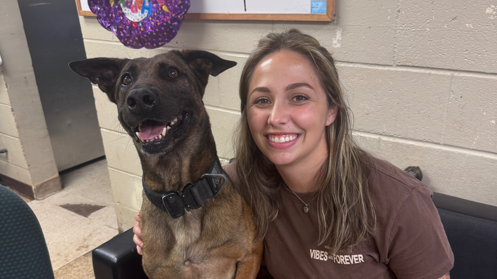 Help a Retired Military Dog Start His New Life campaign photo, 1 of 7
