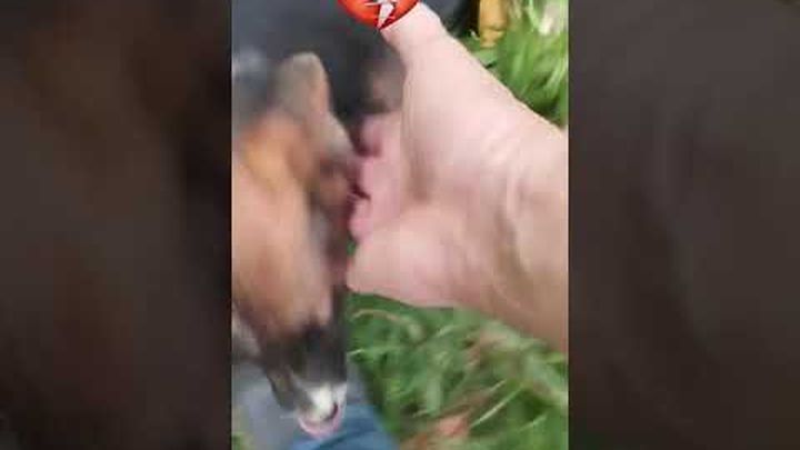 Foto principale della raccolta fondi