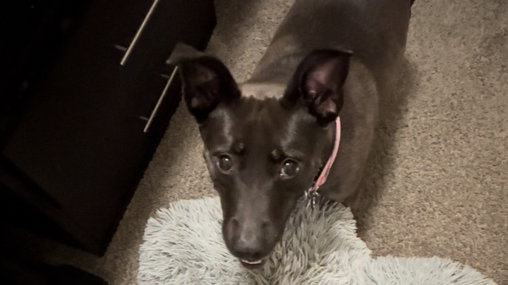 Help with Lila's Medical Bills and Care campaign photo, 1 of 3