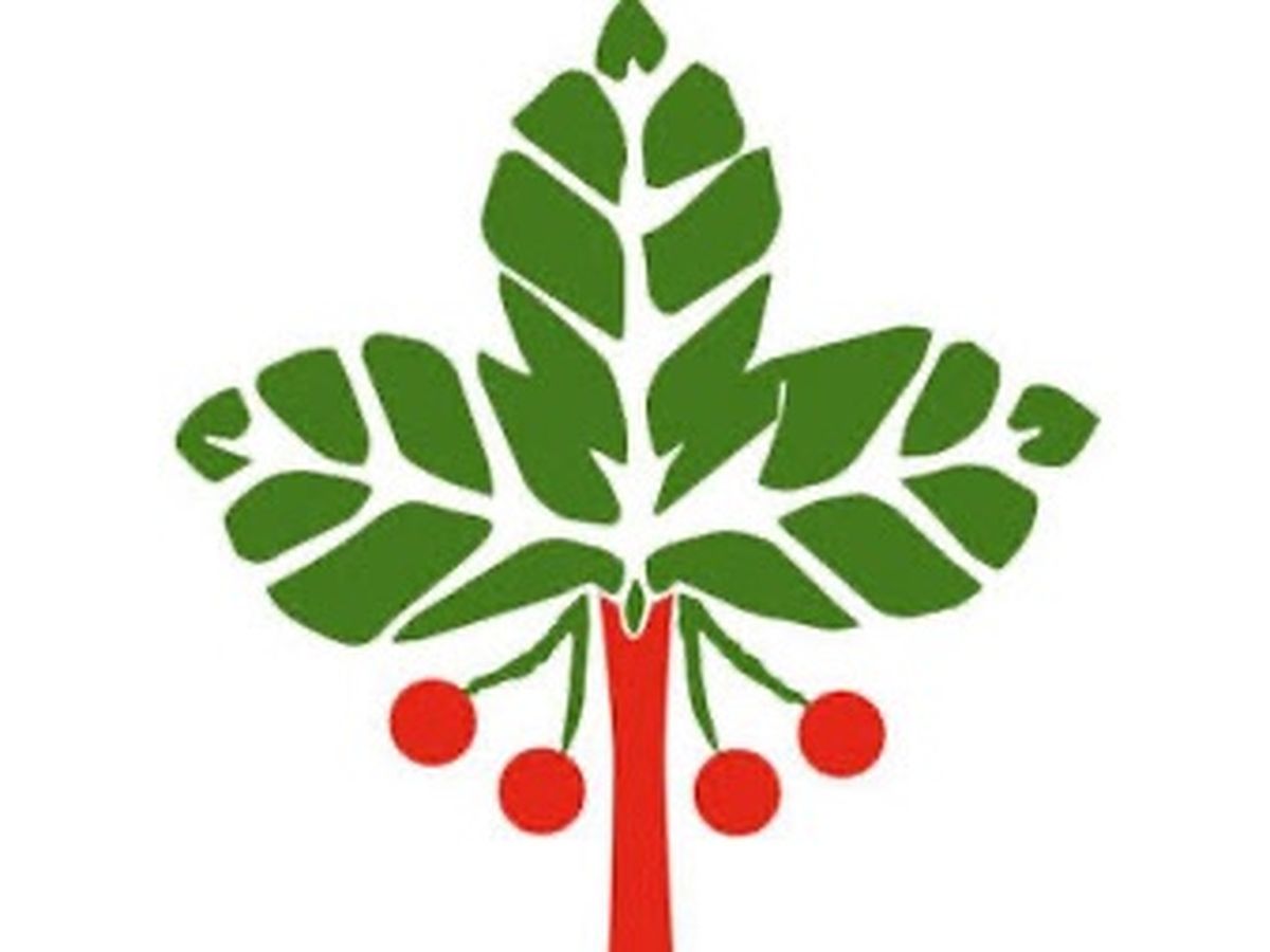 Fundraiser’s main image