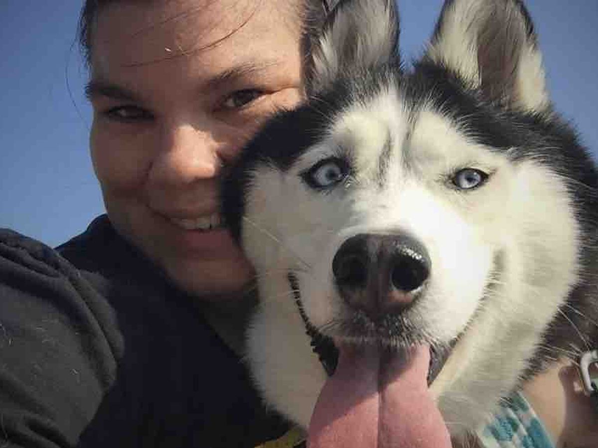 Fundraiser by Rebecca Dykstra : Help Callie Marie! A Husky in Need!