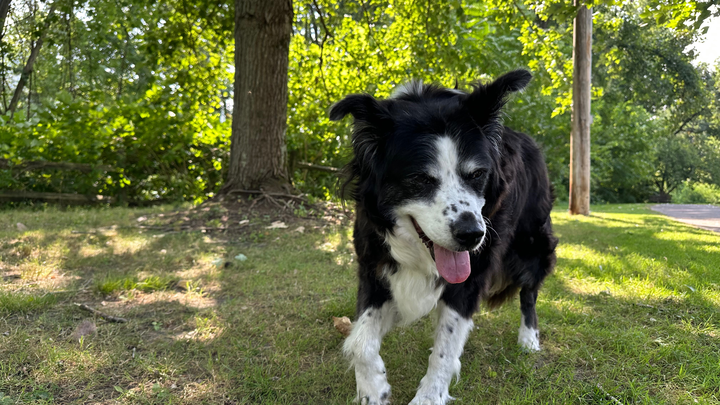 Support Rosie’s End-of-Life Care Needs campaign photo, 1 of 8