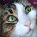 Profile photo of kerry Pemberton
