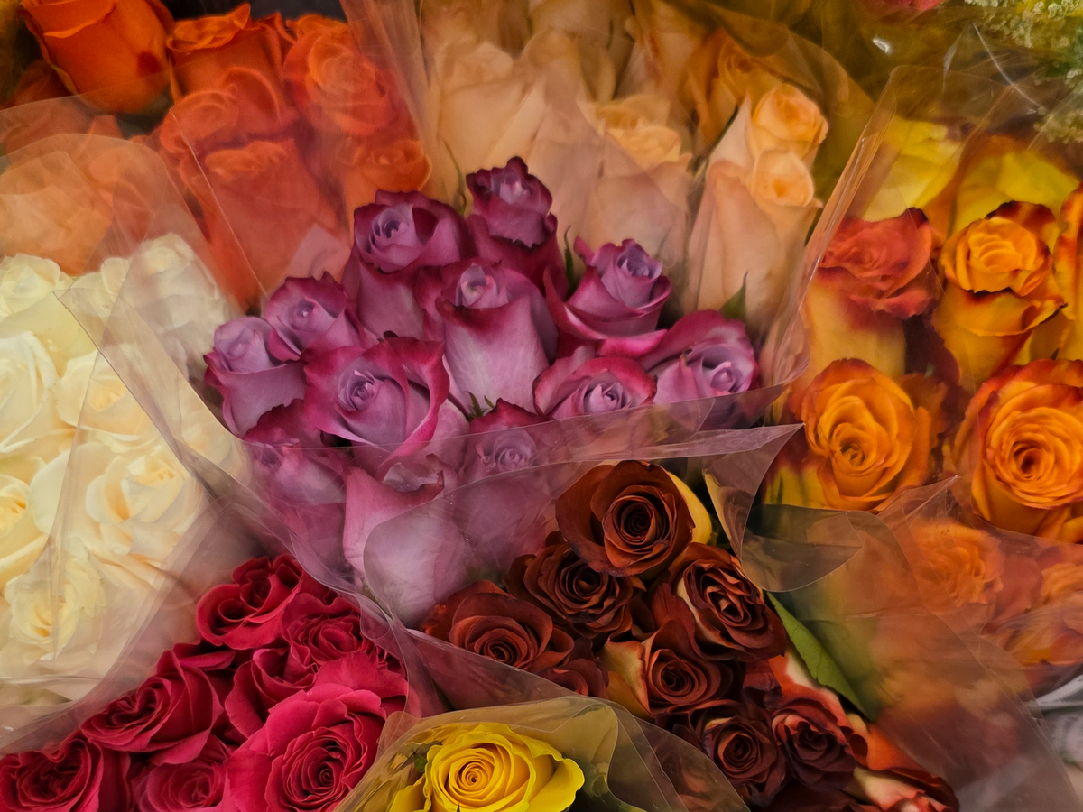 Fundraiser’s main image