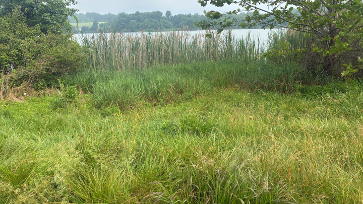 Support Abhi's Riparian Buffer at Marsh Creek State Park campaign photo, 1 of 5