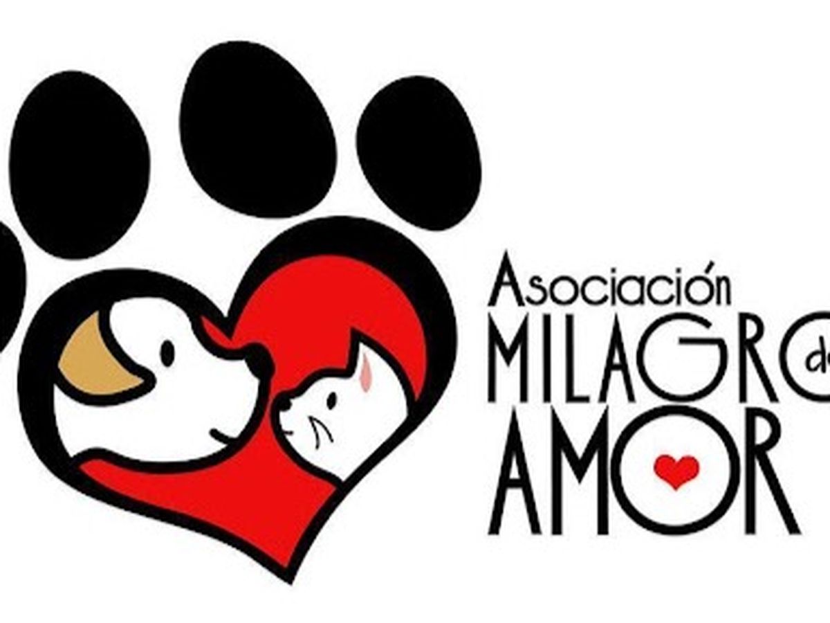 INSIDE!, image size:1200x900