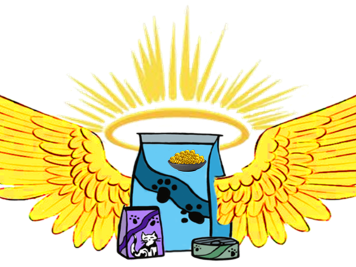 Fundraiser’s main image