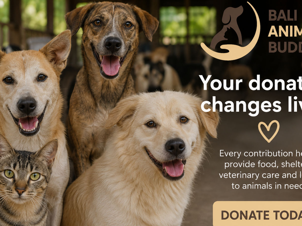 Make A One-Off Donation campaign photo, 1 of 8