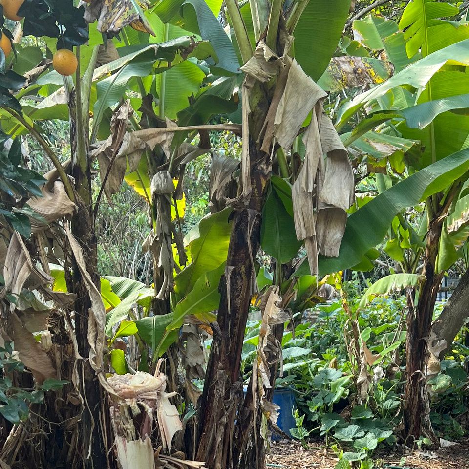 Land care and preservation
