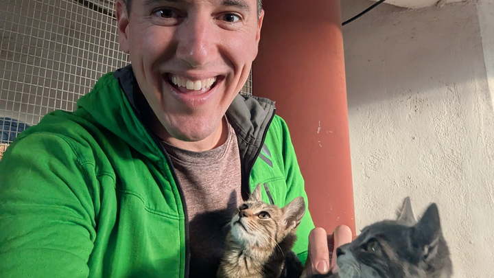 Help Us Save and Care for Stray Cats in Crete campaign photo, 1 of 8